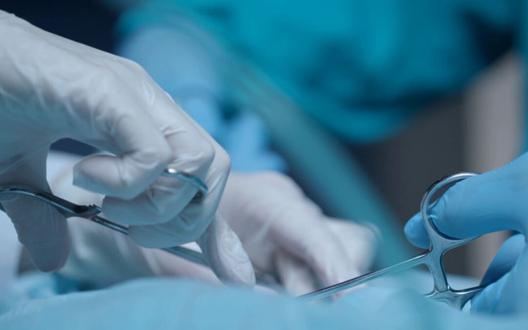 Trust, Compassion, and Lifelong Care: A Testimonial from Sandra Magnes